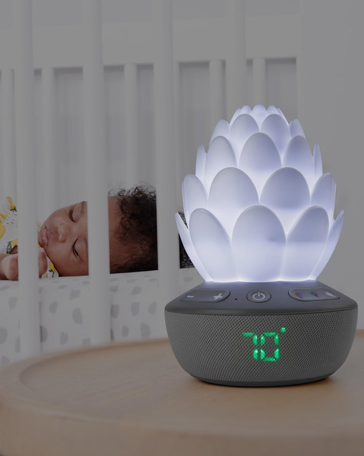 Skip Hop Succulent Glow Sound Machine