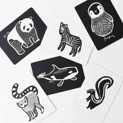 Art Cards- Black And White Collection