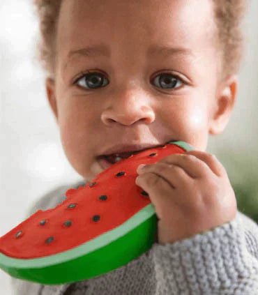 Oli & Carol Wally the Watermelon