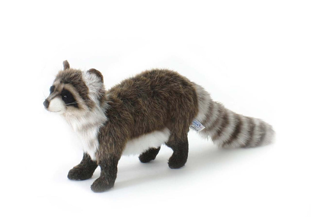 Hansa RACCOON STANDING