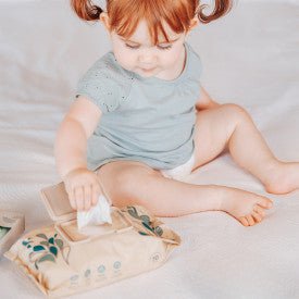Terra Baby Terra Baby Wipes 70 Pk