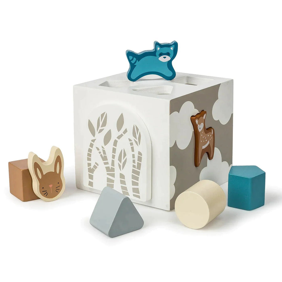 Leika Wooden Shape Sorter