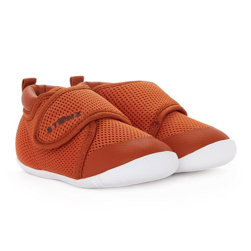 Cruiser Cinnamon -18-24m
