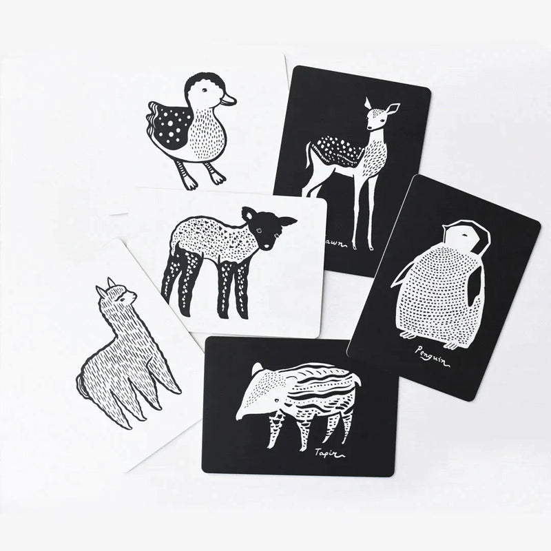 Art Cards-  Baby Animals